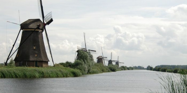 Olanda 2010