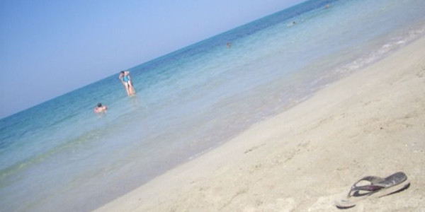Gastone in Puglia 