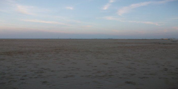 Valli di Comacchio