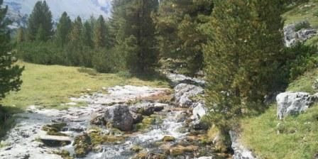 Trentino 11-24 agosto 2012
