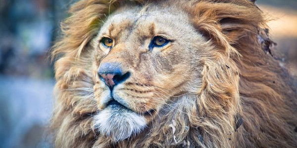 Gita allo Zoo e mare