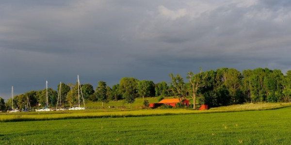 Il Grande Nord 2012
