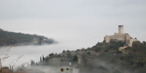 Calimero in Costa Amalfitana