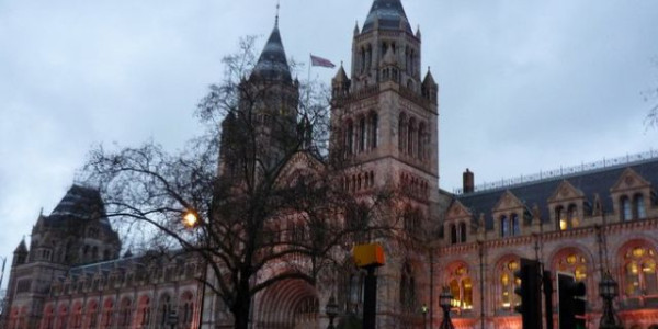 Londra in camper