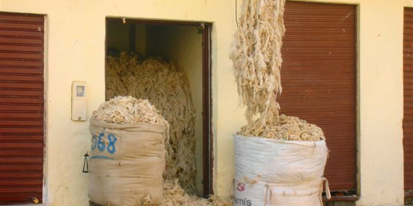 Marocco a misura di bimbo (e non solo)