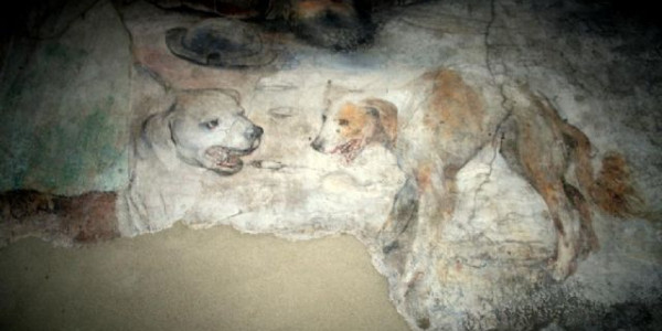 Val Camonica e le incisioni rupestri