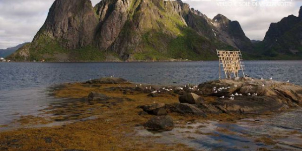Lofoten, con ritorno nei fiordi