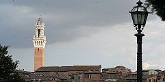 Terredisiena