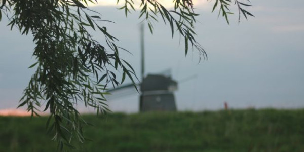 Olanda Agosto 2014