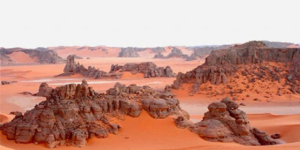 Algeria Yalla Yalla