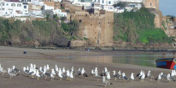 Da Ceuta a Sidi Ifni