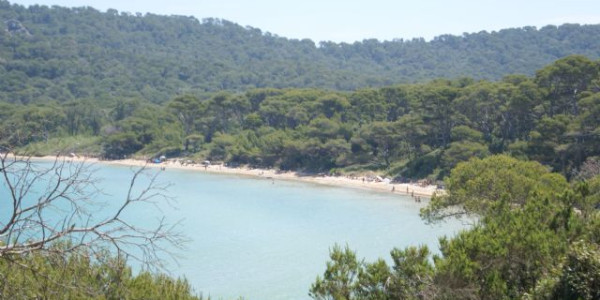 Costa Azzurra, Camargue, Provence