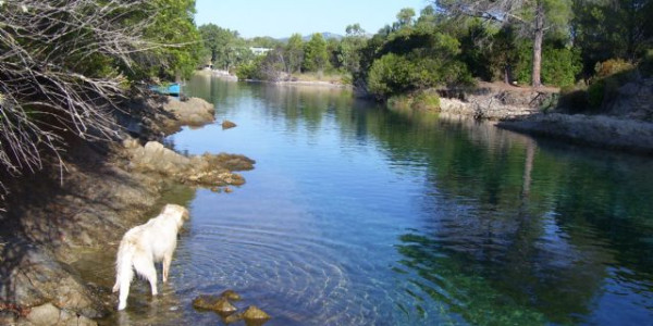 Sardegna a 2 e 4 zampe