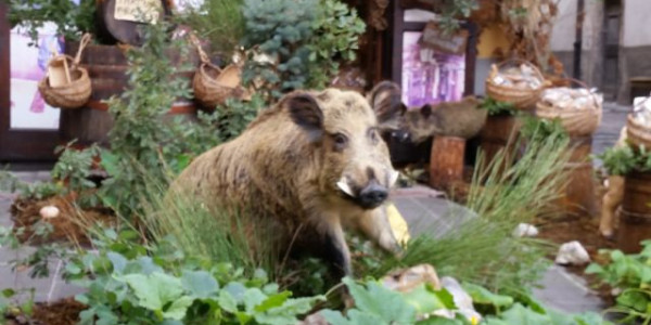 Luglio in giro per l'Italia, mare e montagna