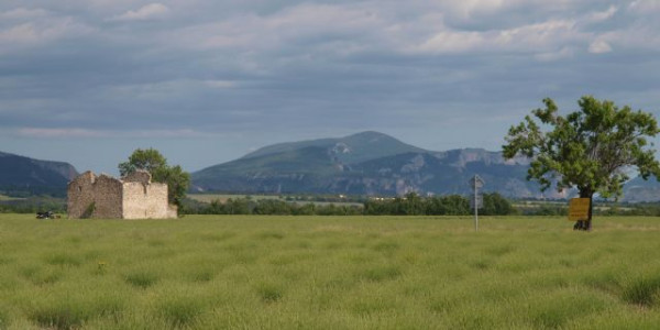 Primavera in Provenza