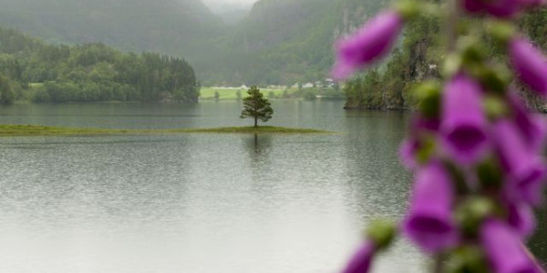 Norvegia 2015