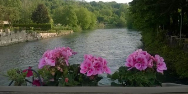 Vino in Veneto