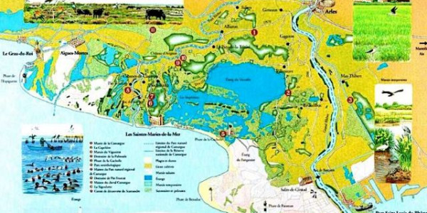 Camargue e dintorni