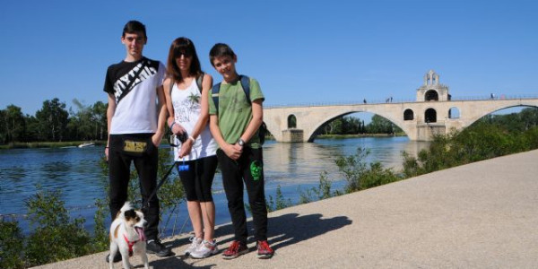 Francia: Avignone e Carcassonne