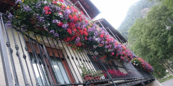 Fuga dal caldo a Gressoney