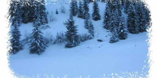 Natale in Alsazia 2016