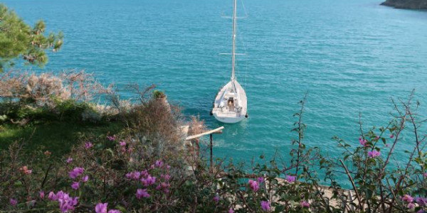 Liguria e il  Golfo del Tigullio - febbraio 2018