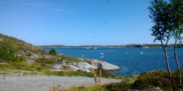 Scandinavia 2017
