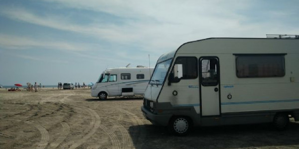 Gita in Camargue 