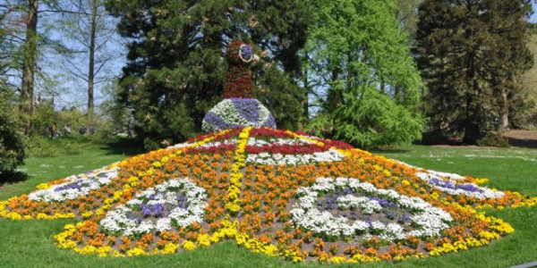 Calimero all'isola di Mainau...