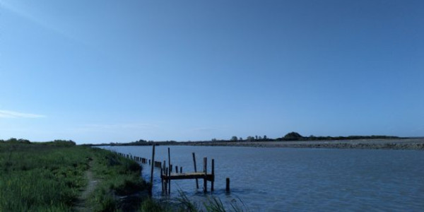 Vagando nel Delta del Po