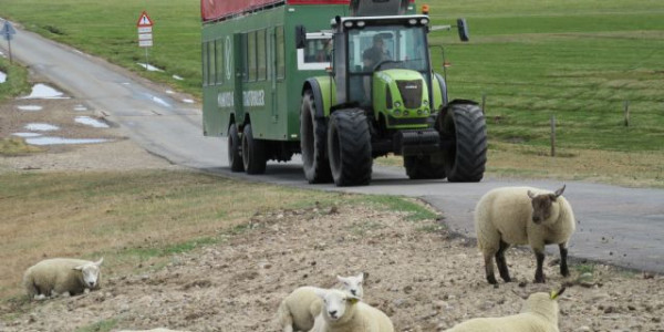 Germania e Danimarca 2018