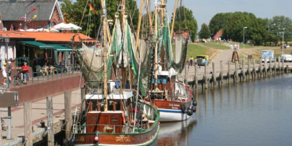 Wattenmeer: Mare dei Wadden