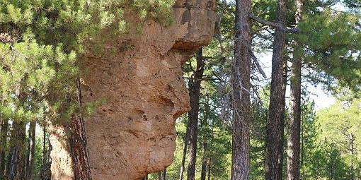 In giro per la Spagna sul camion dei pompieri