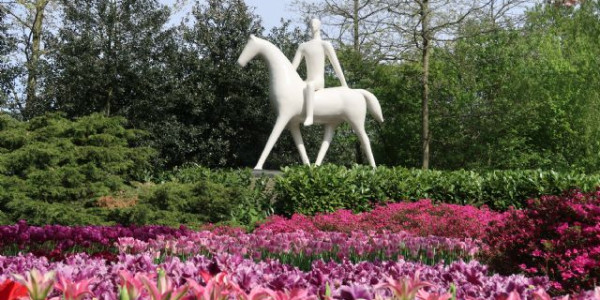 Olanda 2019: mulini e tulipani