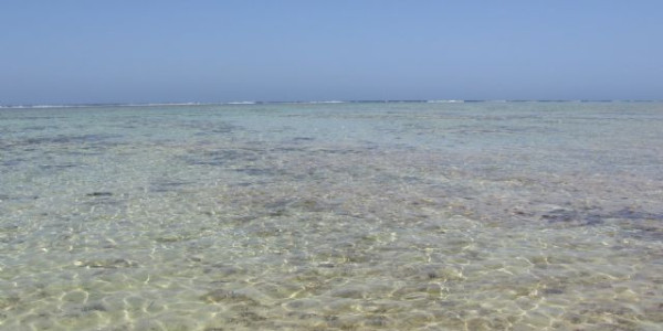 Isola d'Elba in tour