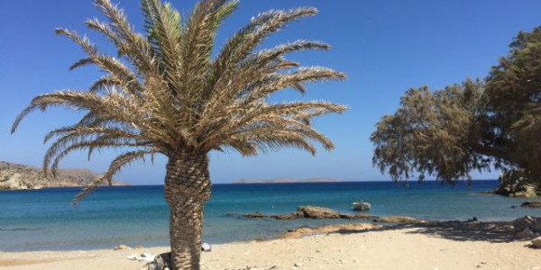 Creta on the road