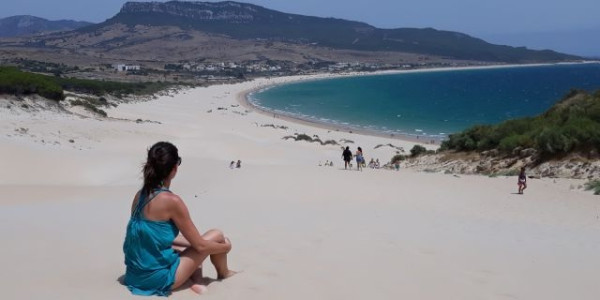 Estate 2019 in Andalusia