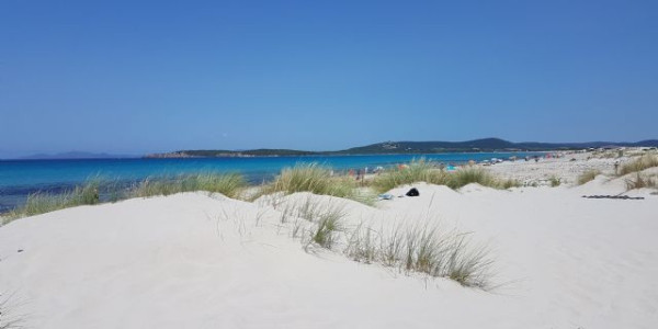 Sardegna selvaggia Sardegna