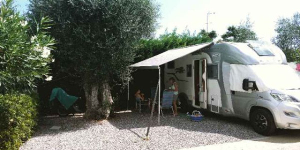 Camping Edy