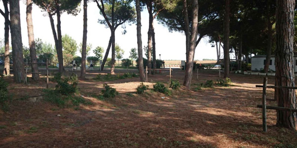 Camping Riva dei Tarquini