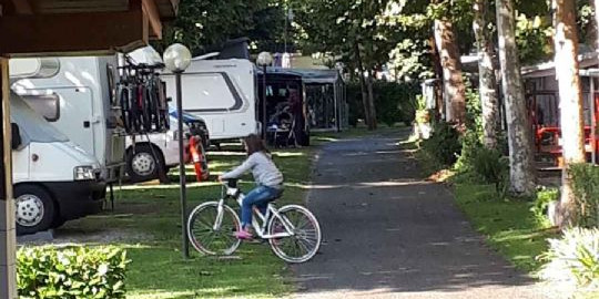 Röse