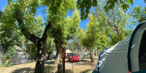 Camping & Village Eucaliptus