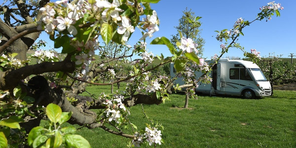 Agricamping La Rosa nel Borgo