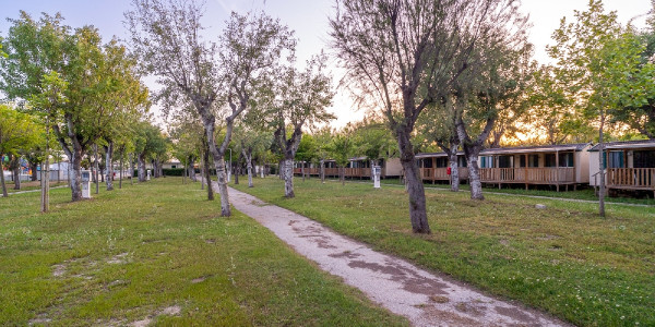 Adriatico Family Camping Village