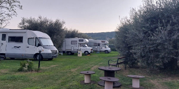 Agrisosta L'Isola degli Ulivi