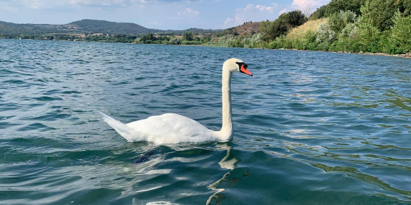 Parco del Lago Glamping and Lodges