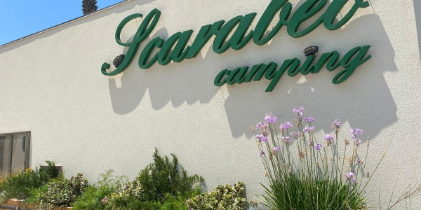 Camping Scarabeo