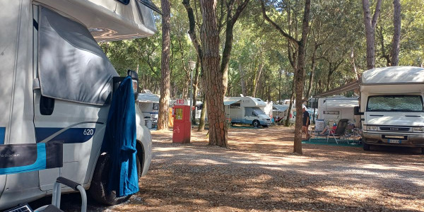 Camping Belmare