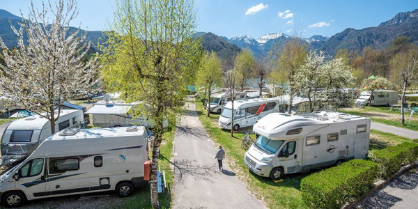 Al Camping Al Sole arriva un dinosauro