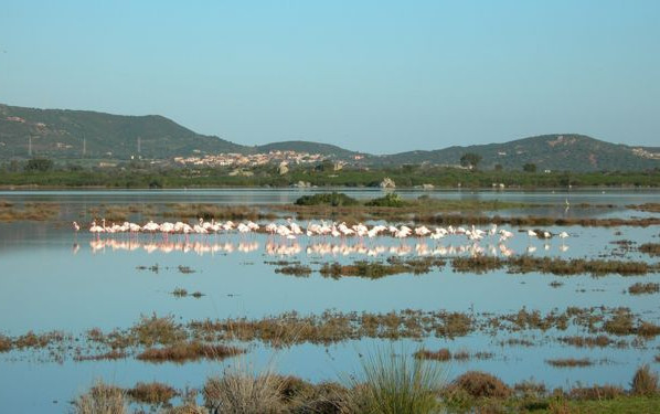 Camping Cala d'Ambra